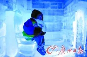 面对这些异想天开的厕所, 你还好吗?